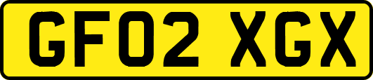 GF02XGX