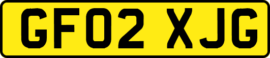 GF02XJG