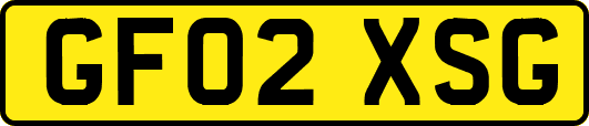 GF02XSG