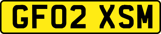 GF02XSM