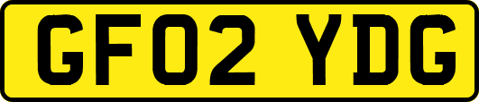 GF02YDG