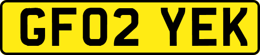 GF02YEK