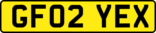 GF02YEX