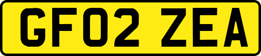 GF02ZEA