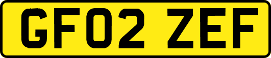 GF02ZEF