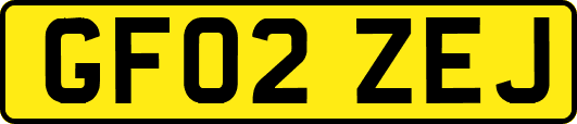 GF02ZEJ