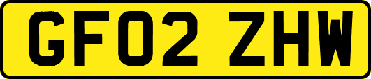 GF02ZHW