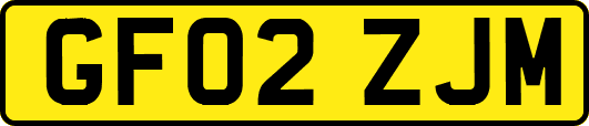 GF02ZJM