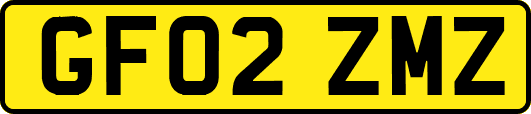 GF02ZMZ