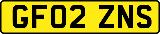 GF02ZNS