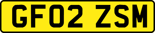 GF02ZSM