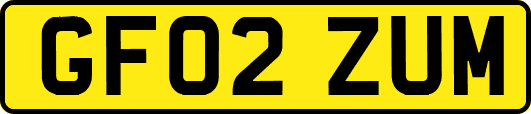 GF02ZUM