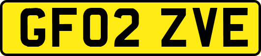 GF02ZVE