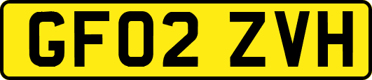 GF02ZVH