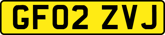 GF02ZVJ