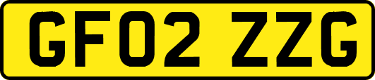 GF02ZZG