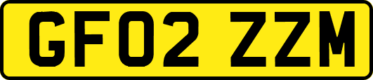 GF02ZZM