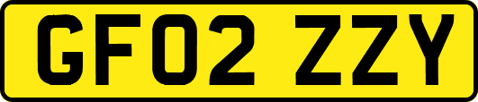 GF02ZZY