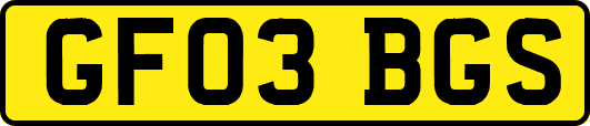 GF03BGS