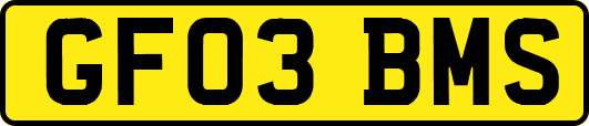GF03BMS