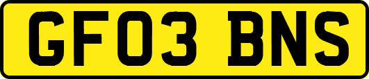GF03BNS