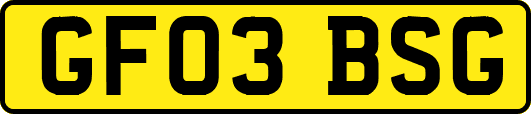 GF03BSG