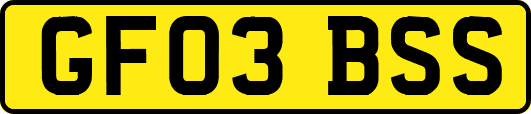 GF03BSS