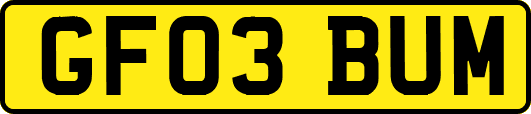 GF03BUM
