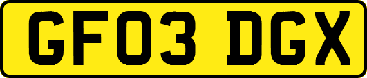 GF03DGX