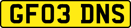 GF03DNS