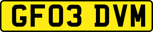 GF03DVM