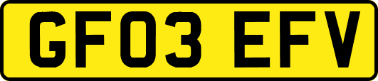 GF03EFV