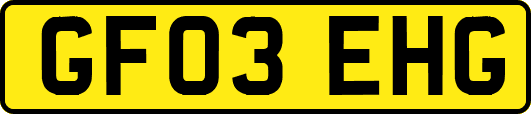 GF03EHG
