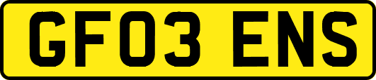 GF03ENS
