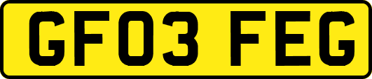GF03FEG