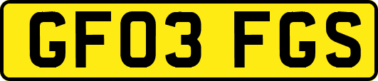 GF03FGS
