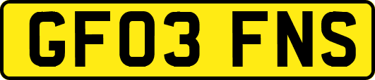 GF03FNS