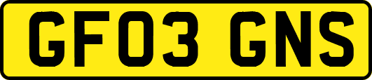 GF03GNS