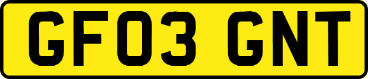 GF03GNT