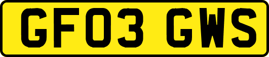 GF03GWS