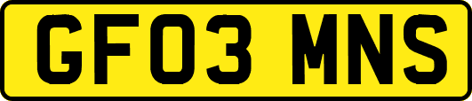 GF03MNS