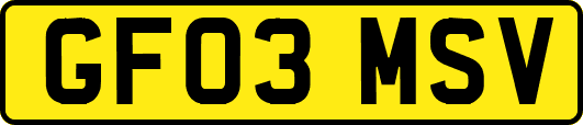 GF03MSV
