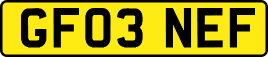 GF03NEF