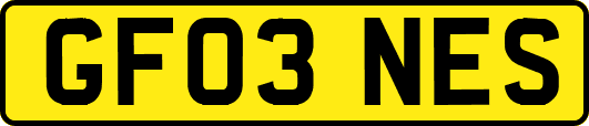 GF03NES