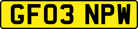 GF03NPW
