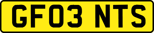 GF03NTS