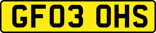 GF03OHS