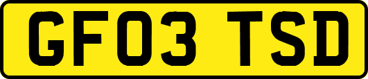 GF03TSD