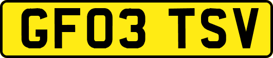 GF03TSV