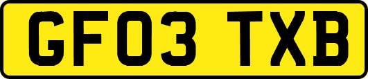 GF03TXB